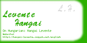 levente hangai business card